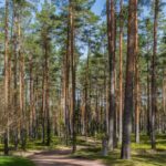 Will the circle be unbroken? The climate mitigation and sustainable ...