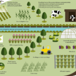 Contributions of Biotech Crops to Food Security, Sustainability, and ...